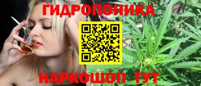 сатива Изобильный