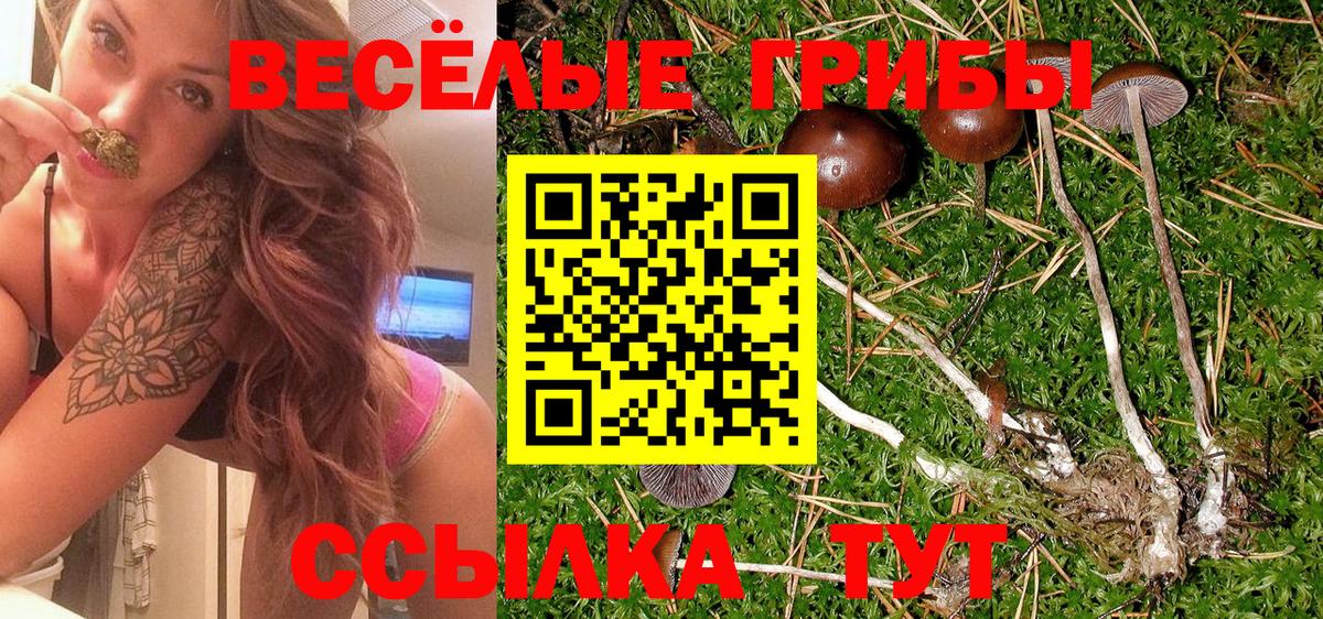 Протвино  Галлюциногенные грибы Psilocybe  Вход с VPN  Псилоцибиновые грибы Magic Shrooms 